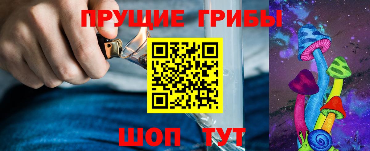Старая Купавна  Псилоцибиновые грибы прущие грибы  Вход с VPN 